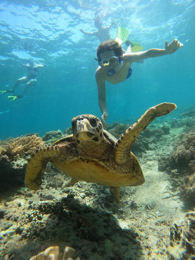 Gili Meno Mojo Beach Resort Eksteriør billede